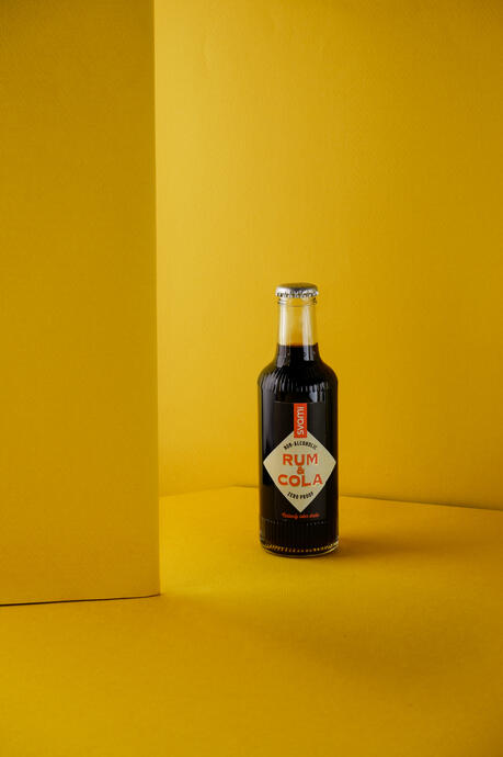 Varius leo fermentum